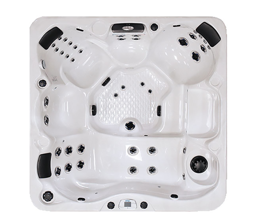 AVALON EC-840L